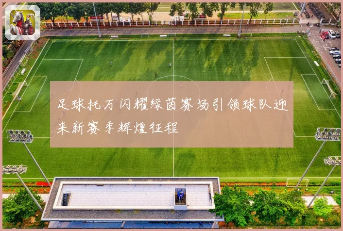 足球托万闪耀绿茵赛场引领球队迎来新赛季辉煌征程
