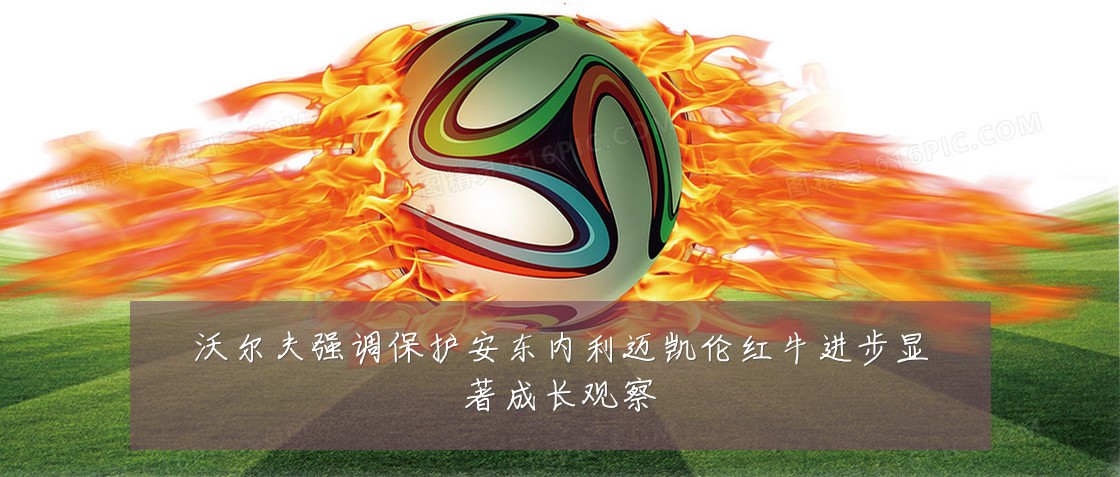 沃尔夫强调保护安东内利迈凯伦红牛进步显著成长观察
