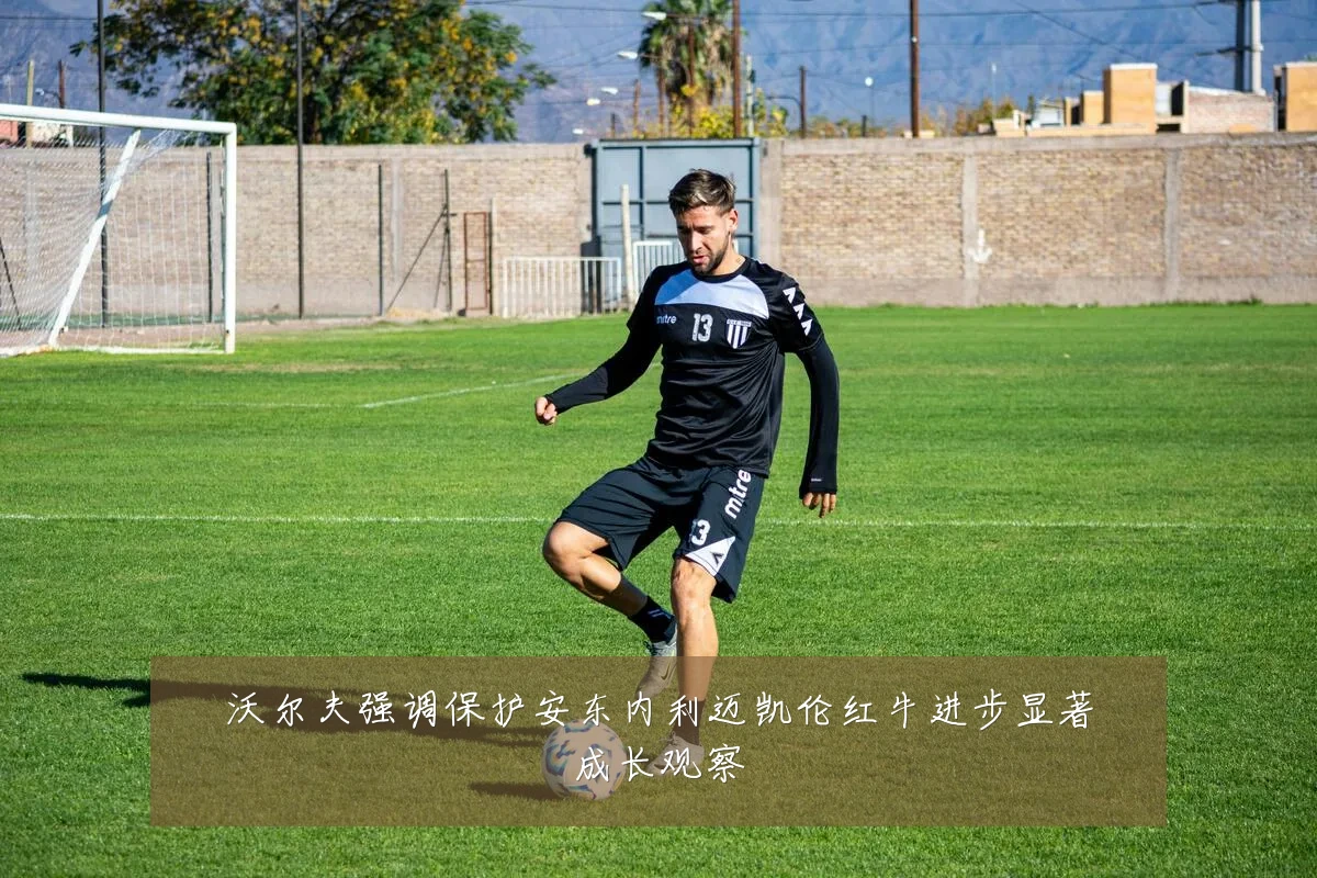 沃尔夫强调保护安东内利迈凯伦红牛进步显著成长观察